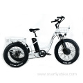 XY-Trio Deluxe electric cargo tricycle for adults motorized